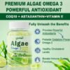 Ha2db5e002a2544e5816186ede037f33fk.jpg_720x720q50.jpg Immune Support Omega D3 Gummies
